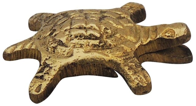 Brass Showpiece Tortoise Statue Small - 1.7*1.3*0.5 inch (Z184 C)