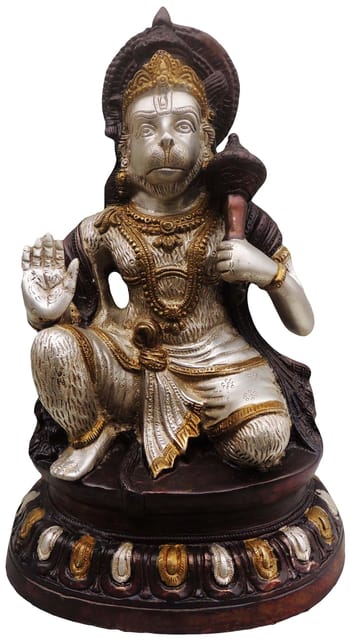Brass Showpiece Hanuman Ji Statue - 10*6.5*15 Inch (BS488 A)