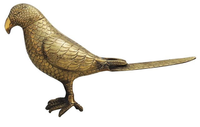 Brass Showpiece Table Decor Parrot Statue - 14*4*7.5 Inch (AN073)