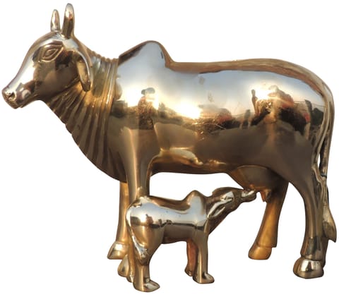 Brass Showpiece Cow & Calf, Piggy Bank Statue - 9.5*3.5*8 Inch (BS1789 F)
