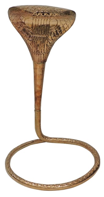 Brass Snake - 14*14*22 Inch (Z312 G)