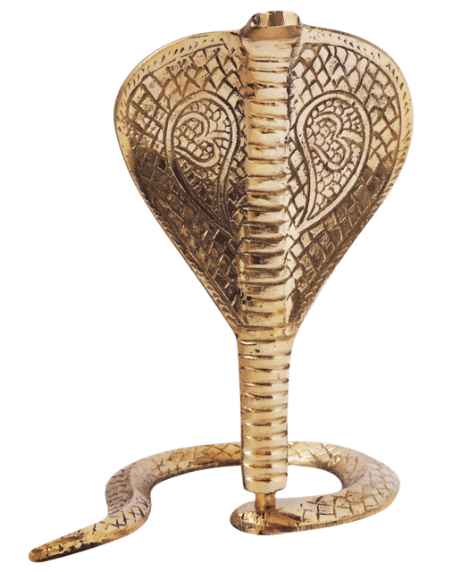 Brass Snake (for shivling) - 5*6*8 inch (Z299 F)