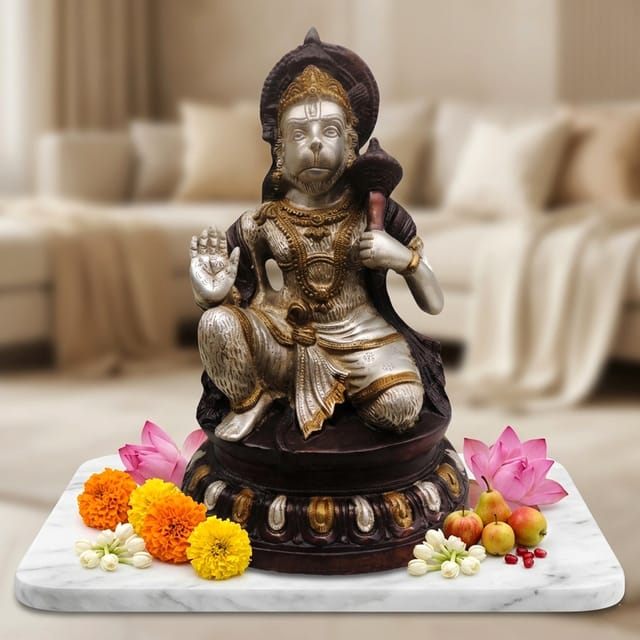 Brass Showpiece Hanuman Ji Statue - 10*6.5*15 Inch (BS488 A)