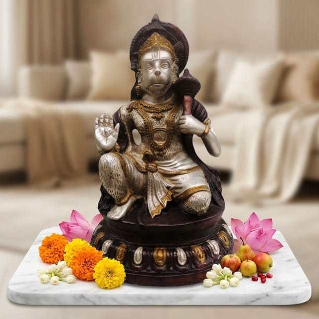 Brass Showpiece Hanuman Ji Statue - 10*6.5*15 Inch (BS488 A)