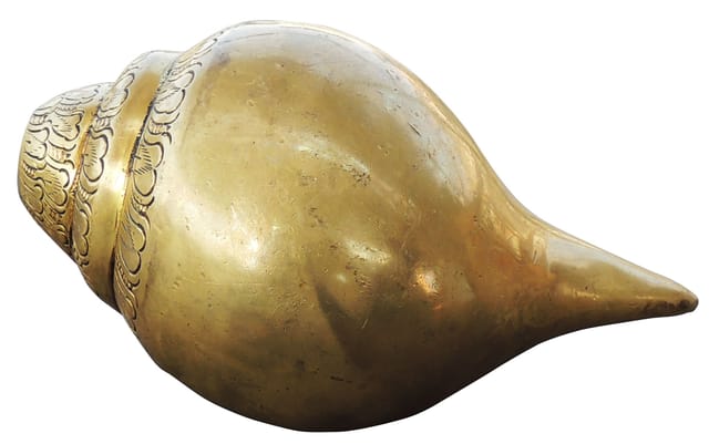 Brass Showpiece Conch With Sound - 7*4*3.5 Inch (BS1277 B)