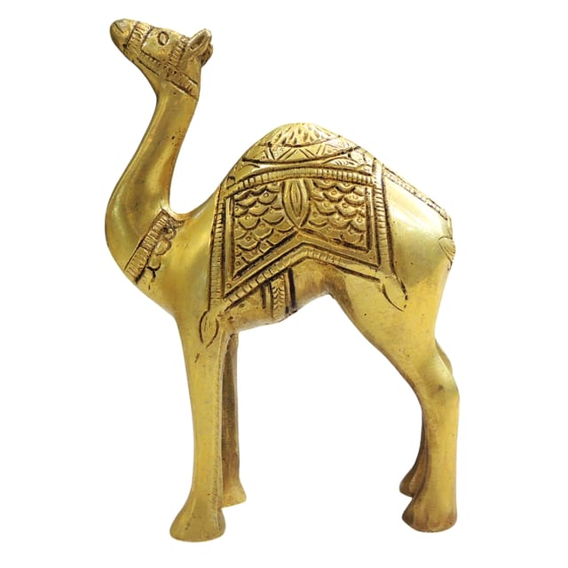 Handcrafted Brass Camel Showpiece Statue for Home Decor & Gifting - 4.5*2*6.5 Inch (AN074 X)